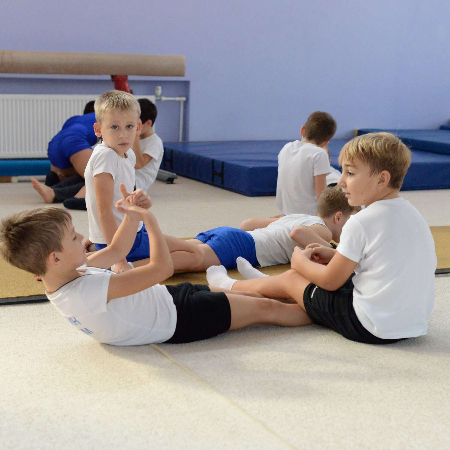 Спортивная гимнастика — DSC 4481