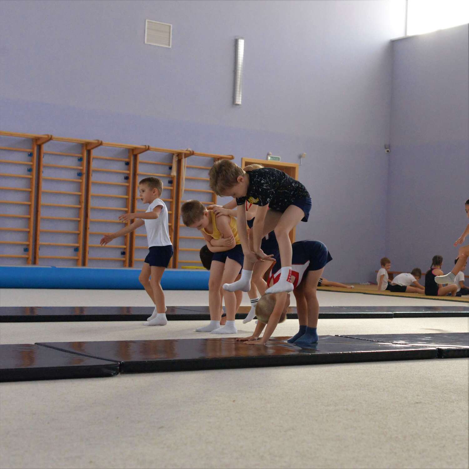Спортивная гимнастика — DSC 4639
